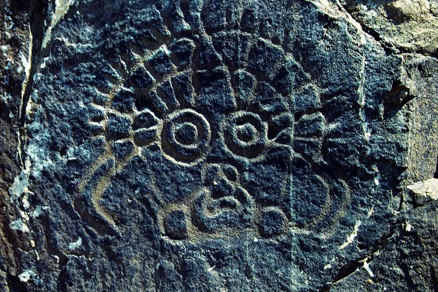 Explore pre-history lives through petroglyphs from Ningxia