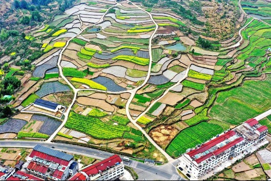 Spring plowing creates beauty in Zhejiang