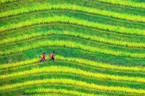 UN chooses 2 Chinese villages as best for tourism