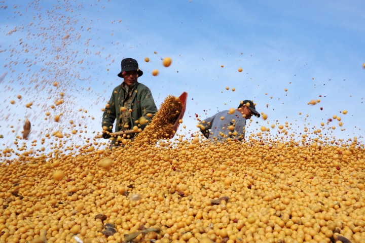 Policy to improve domestic production of soybeans