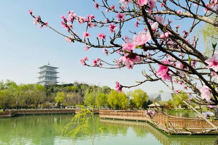 Experience the beauty of spring at Xi'an Expo Park