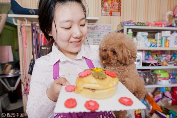 Pet trade in short of sufficient regulation, Beijing judges say