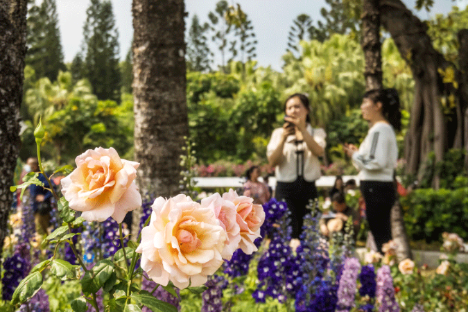 May Day holiday brings good news for air travelers