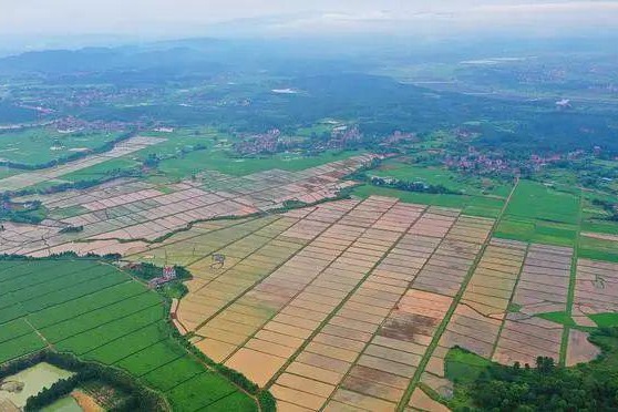 Carbon footprint for agriculture at 'basic' level