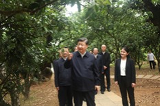 Xi inspects southern Chinese city of Maoming