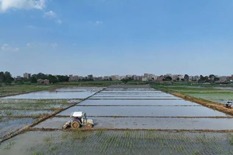 Maoming's agricultural output value reaches 1.13t yuan in 2022