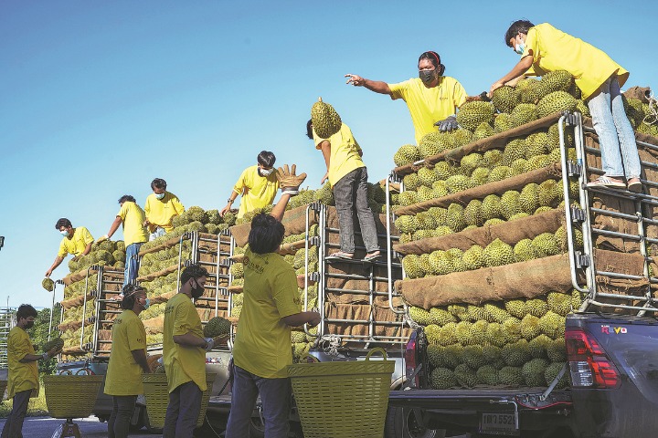 China, ASEAN aim for deepened agricultural cooperation