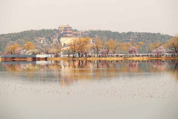 Peach blossoms in full bloom at Summer Palace