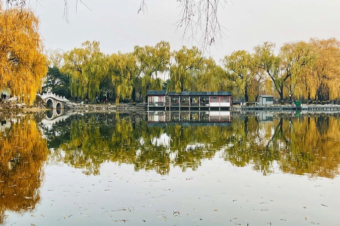 Beijing Yuanmingyuan Park presents lovely scenery in early winter
