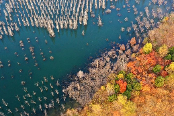 Chaobai River surrounded by colorful trees in late autumn