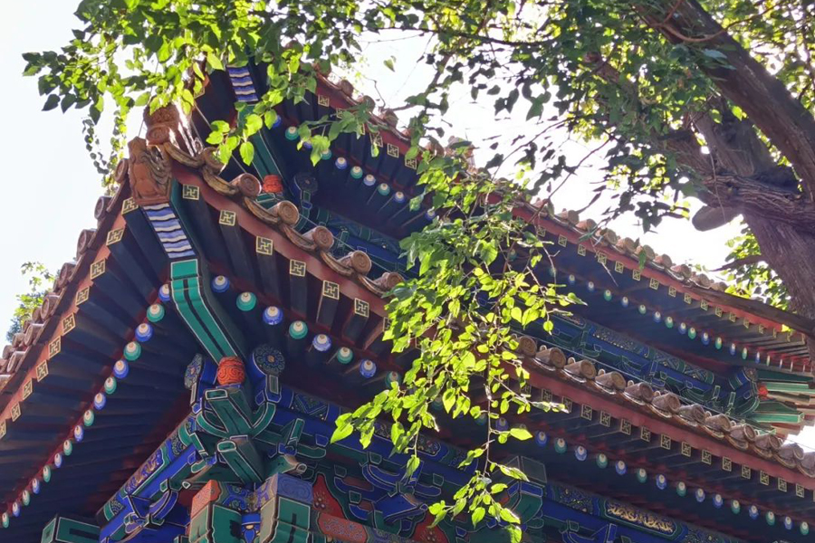 Beijing Confucius museum endowed with autumn tints