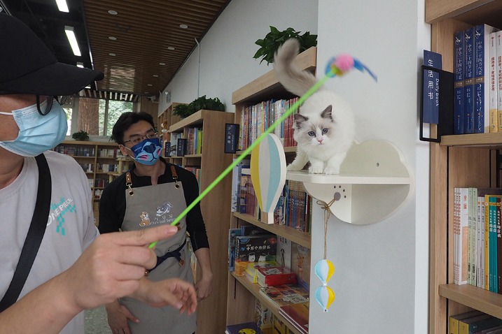 Xinhua Bookstore opens its first pet-themed bookstore in Beijing