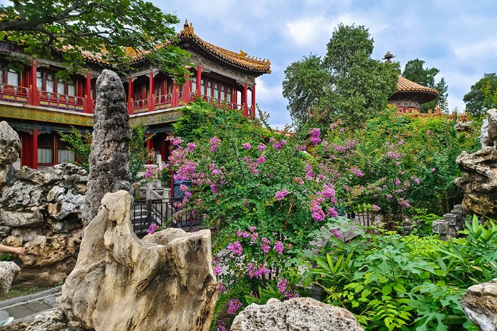 Colorful flowers bloom in Imperial Garden of Forbidden City