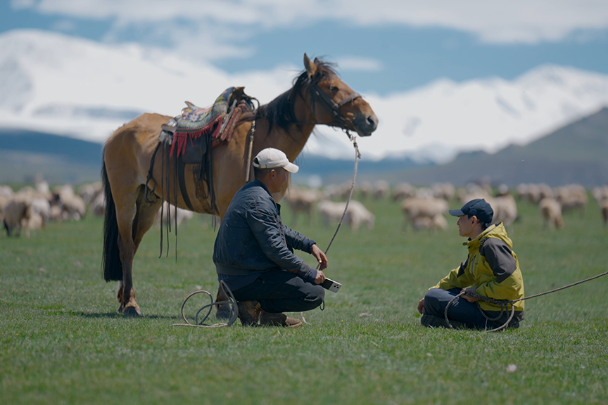 Explore the beauty of grasslands with documentary