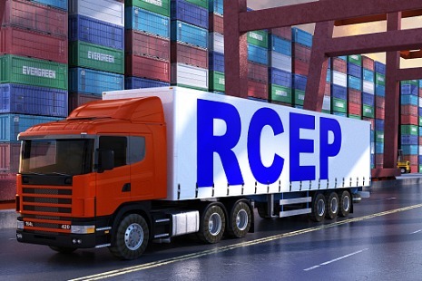 Chinese manufacturers hail closer economic ties with RCEP countries