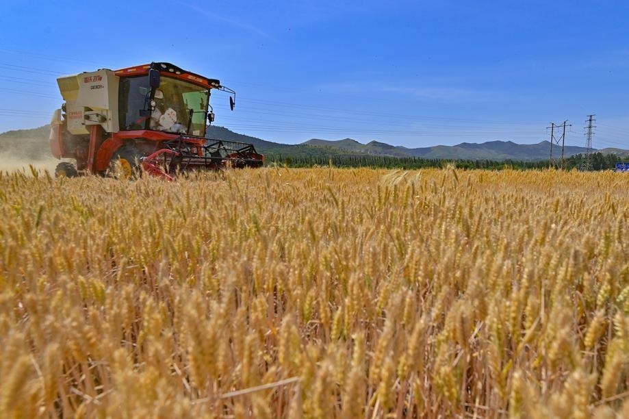 Ministry reports encouraging agricultural data
