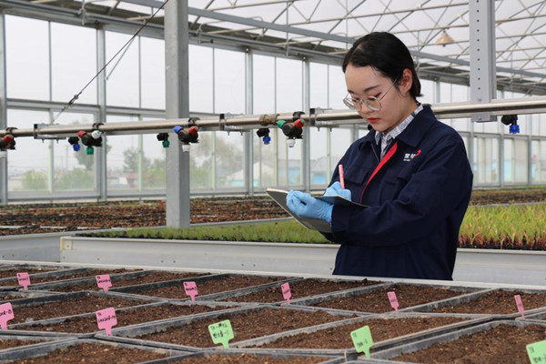 Space seeds take root in Inner Mongolia