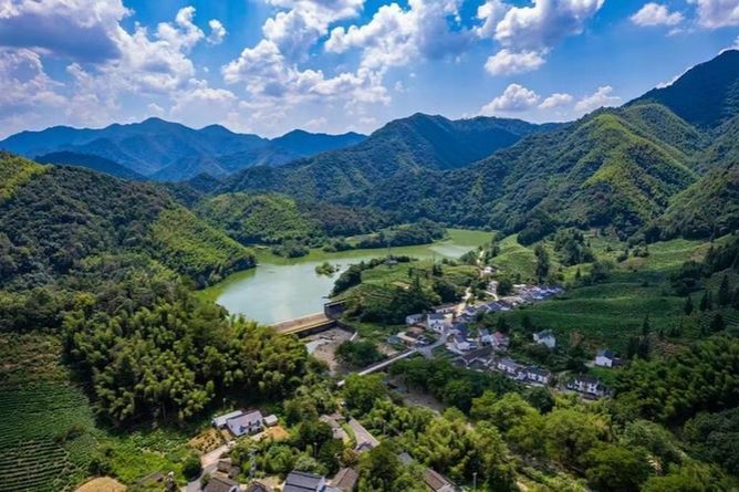 Urban transplants aim to reinvigorate Anhui village