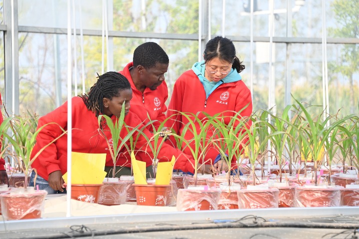 Africans in China aim to take agricultural knowledge home