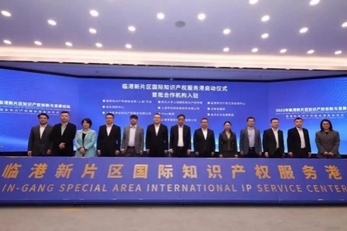 Lin-gang Special Area sets up IP business acceptance window