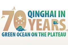 Qinghai in 70 years: Green Ocean on the Plateau