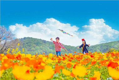 How to spend May Day holiday in Wuxi