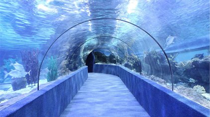 Suzhou Amusement Land's Underwater World