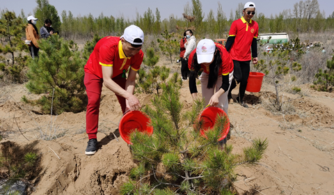 Intl students plant trees in Ordos ecological zone