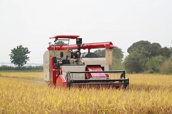 Unmanned farms, drones revolutionize smart rice farming in Huangpu