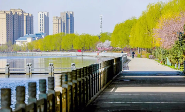 Hohhot city plots path to development of tech innovation 