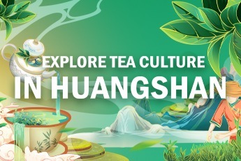 Special: A journey to explore tea culture in Huangshan