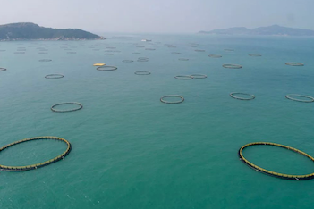 Zhuhai acts to boost high-quality development of marine fisheries