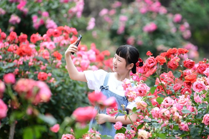 Flower industry blooms in early summer in China