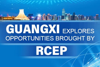 Guangxi explores opportunities brought by RCEP
