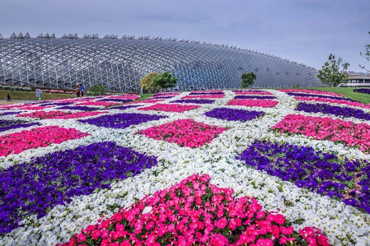 Shanghai botanical garden unveils revamped flower bed