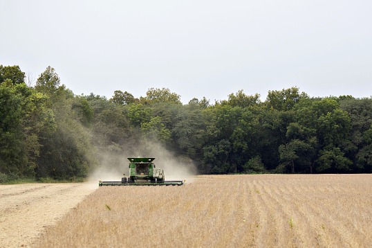 Agricultural ties produce big yields