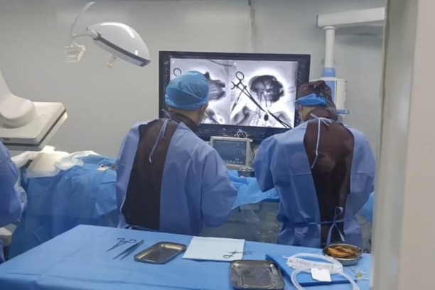 China completes world's first interventional BCI experiment on non-human primates