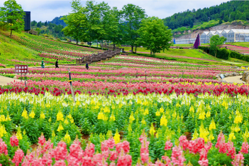 Guizhou's ideal places to visit in May