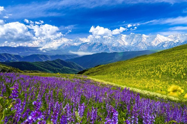 Garden spot in Xinjiang lures visitors