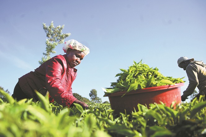 Rise in online trade with Africa benefits consumers