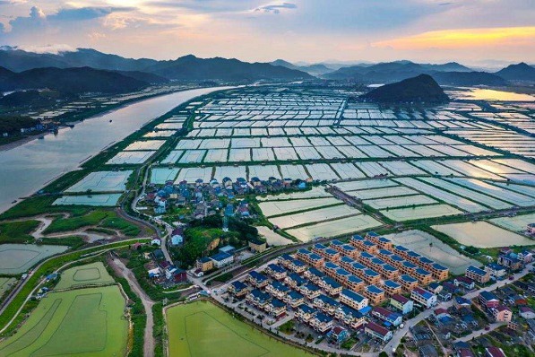 Mariculture brings prosperity to Taizhou's Sanmen county