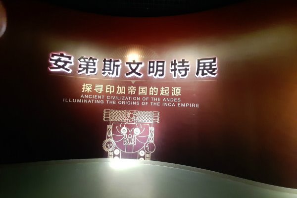 Tianjin online museums attract public interest