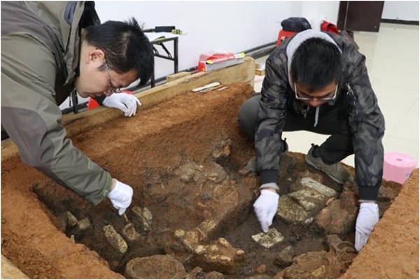 Nation makes big strides in archaeology
