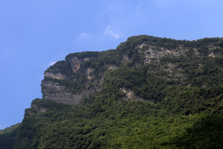 China's Biodiversity: Hubei's Wufeng Houhe National Nature Reserve
