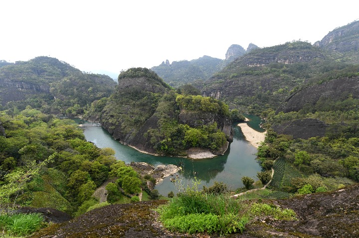 China's Biodiversity:  Fujian's Wuyi Mountain National Park