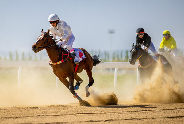 In Hohhot, the horse racing season opens