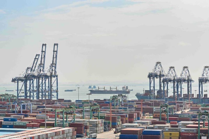 Smart port epitomizes vitality of China's Greater Bay Area