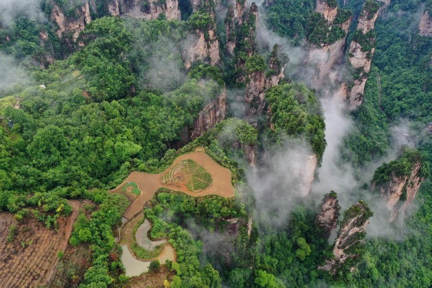 Farmland atop cliff offers unique views in Hunan
