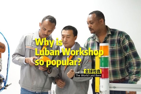 Why is Luban Workshop so popular?
