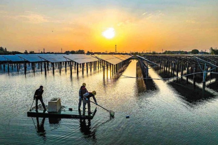 Carbon goals, green transition within reach